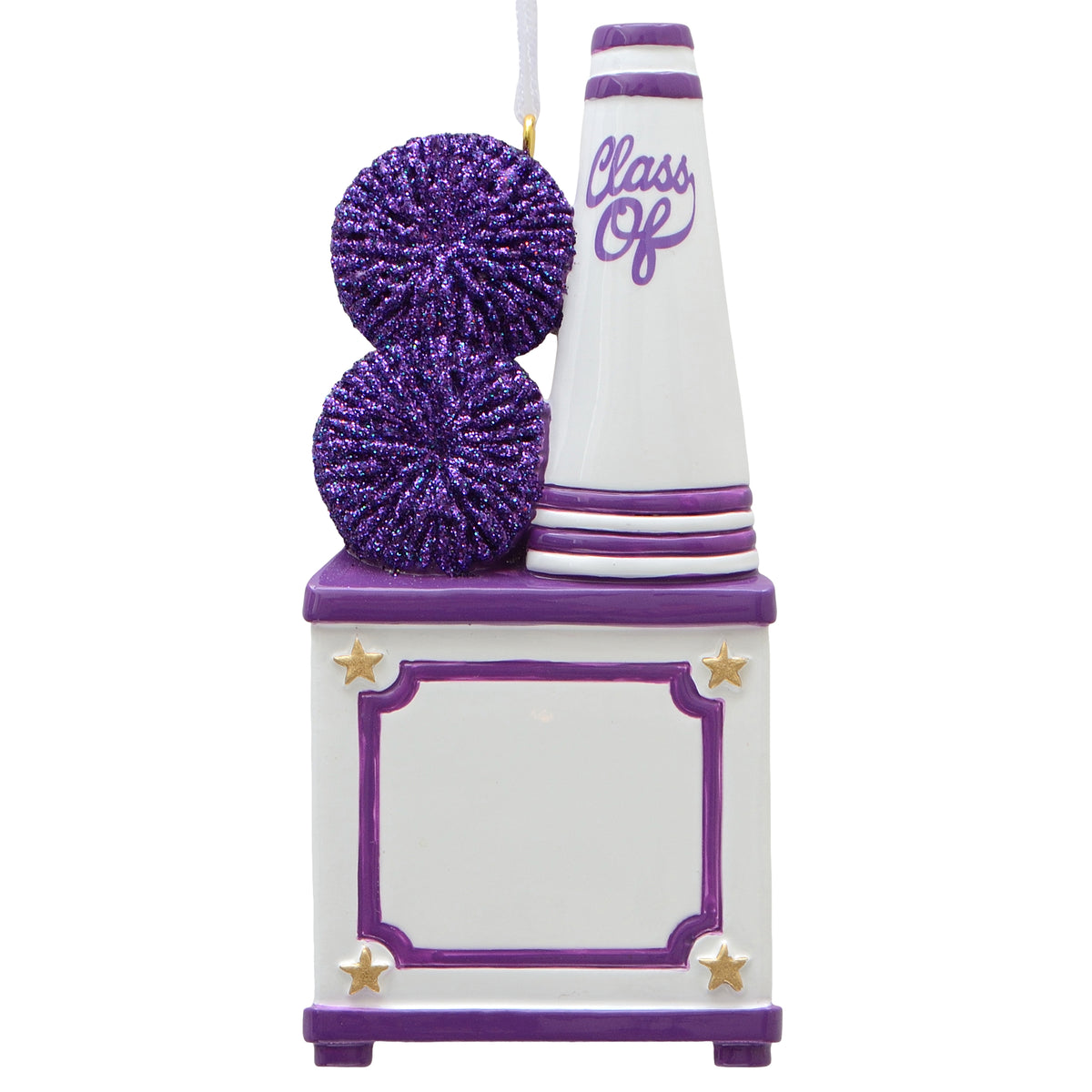 Cheer Box - Purple