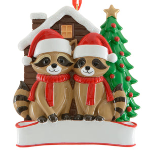Raccoon Family of 2