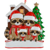 Raccoon Family of 4