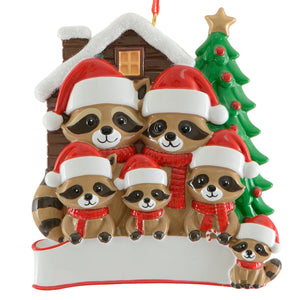 Raccoon Family of 6