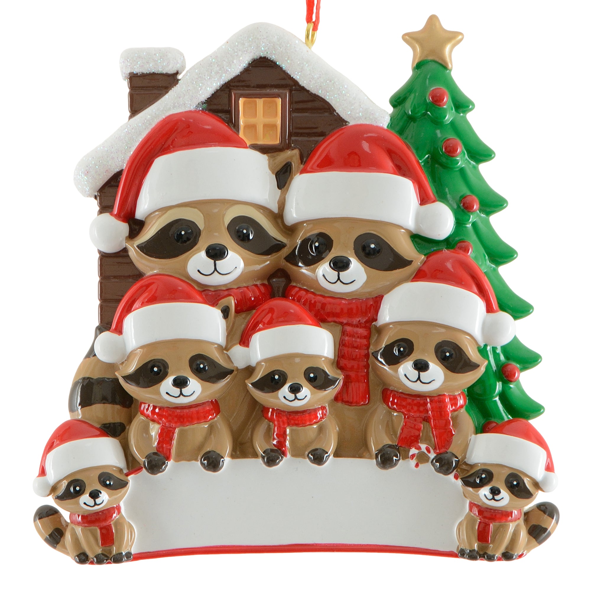 Raccoon Family of 7