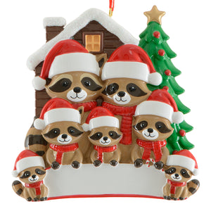 Raccoon Family of 7