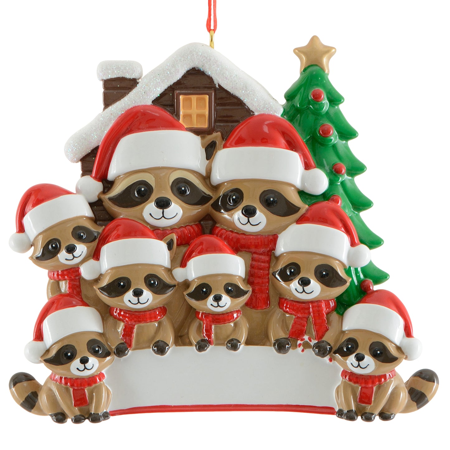 Raccoon Family of 8