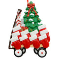 Red Wagon Family of 10