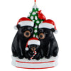 Black Bears 3