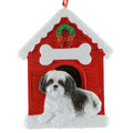 Havanese Black and White