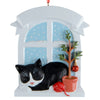 Tuxedo Cat Window
