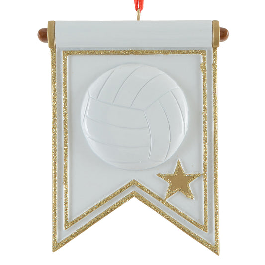 Volleyball Banner