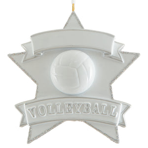 Silver Volleyball Star