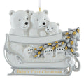 Polar Bear Baby's 1st Christmas