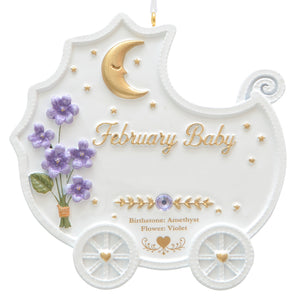 February Baby