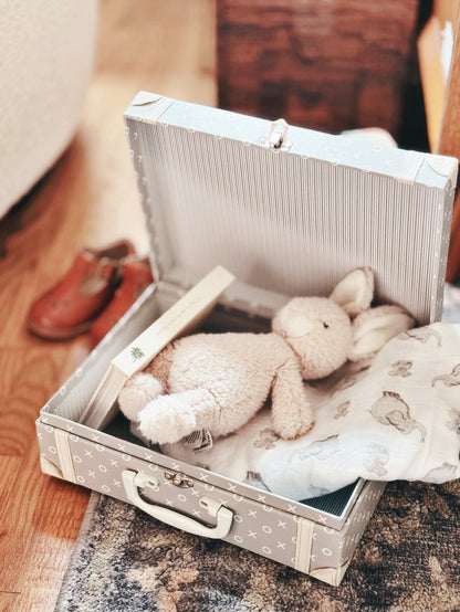 Open gray kids suitcase close-up showing interior striped lining, stuffed toy rabbit, and books