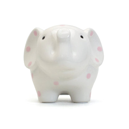 Front close-up view looking directly at the elephant bank face